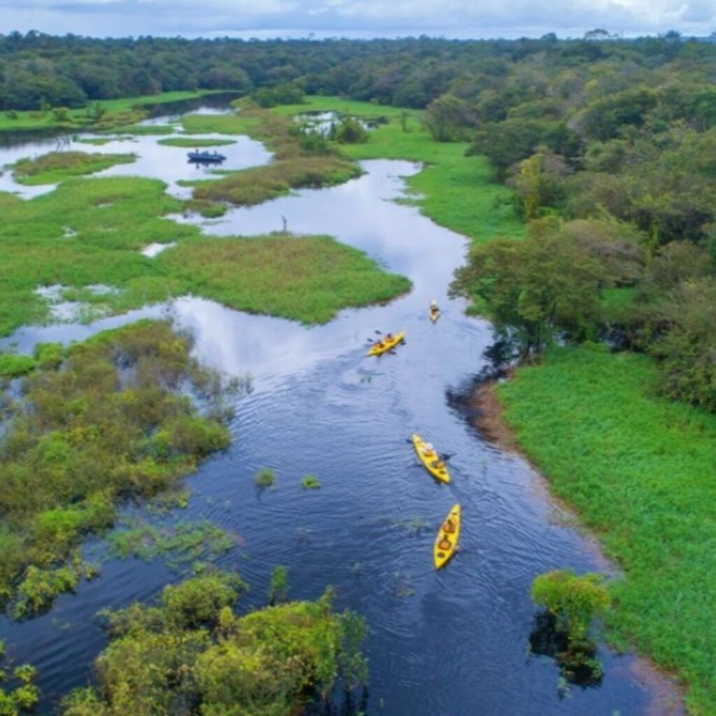 Amazônia